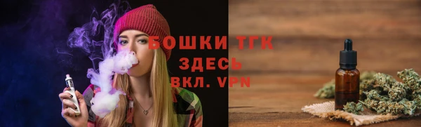 крисы Абаза