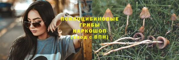 спиды Покачи